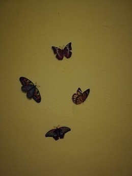 Wonderful room in Malaga