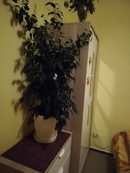 Wonderful room in Malaga