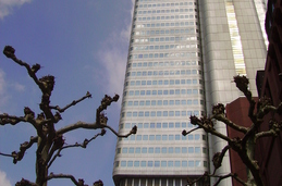 Untitled photo