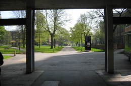 Arriving at the library