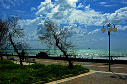 Untitled photo