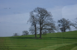 Untitled photo
