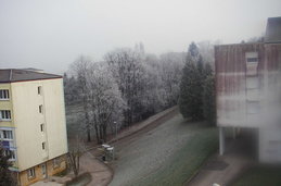 Campus helado