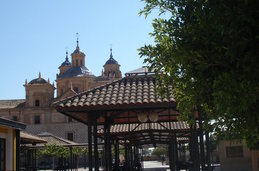 Zdjęcie bez tytułu