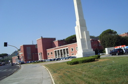 Zdjęcie bez tytułu