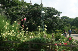 Royal Pavillion Gardens