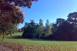 Untitled photo