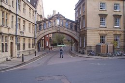 Zdjęcie bez tytułu