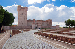 Castillo de Medina del Campo