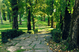 Untitled photo
