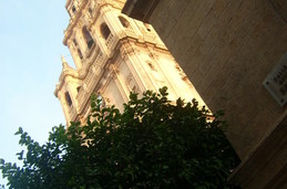 Zdjęcie bez tytułu