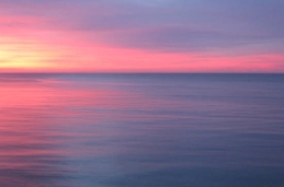 Untitled photo