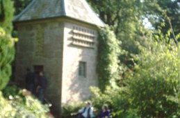 Untitled photo