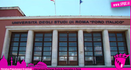 Zdjęcie bez tytułu