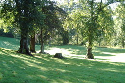 Una pequeña muestra del campus de Garthdee