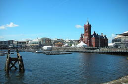 The Bay