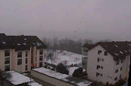 Untitled photo