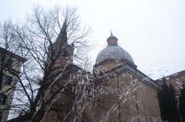 Untitled photo