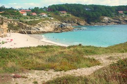 Sanxenxo - Paxariñas