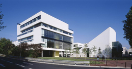 Faculté de Droit