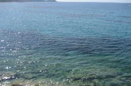 Vista de &#34;Es Codolar&#34;