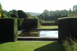 Untitled photo