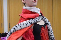 Alice in Wonderland Ballet Show