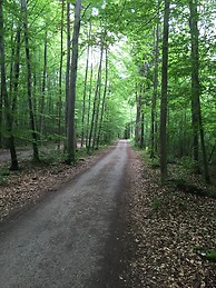 Augsburg  Zoo