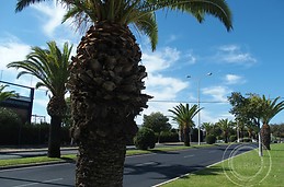 Avenida de las Fuerzas Armadas