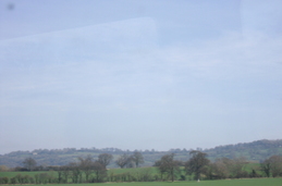 Untitled photo