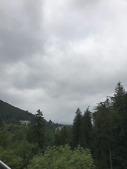 Bad Harzburg