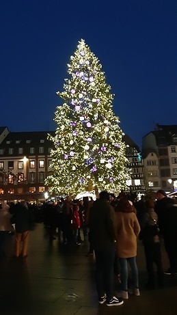 Beatiful Christmas tree
