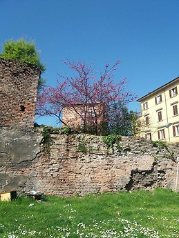 Beautiful Bologna in Spring_02
