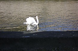 Brujas, una ciudad de ensueño.