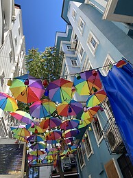 Colors and colors