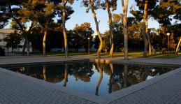 Universidad de Alicante