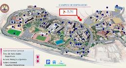 Zdjęcie bez tytułu