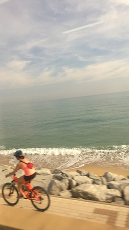Daily views
