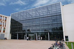 Department of Management, Social Communication