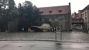 Dinosaur 