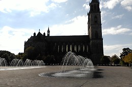 Dom