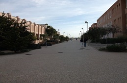 De camino a la biblioteca