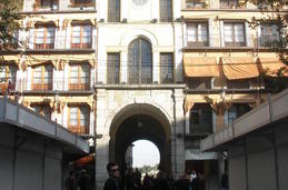 Zdjęcie bez tytułu