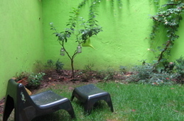 backyard marques flat