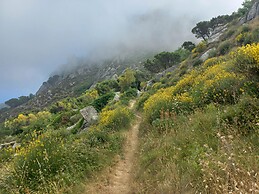 Hiking trail on western Ischia Island