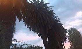 Huzur veren fotoğraf