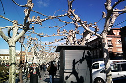 i miss this weather!) every day!)