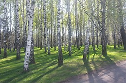 Izmailovo Park