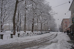 Kongresni trg nevado