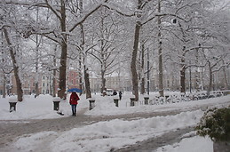 Kongresni trg nevado